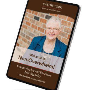 Welcome to Non-Overwhelm! (e-Book)