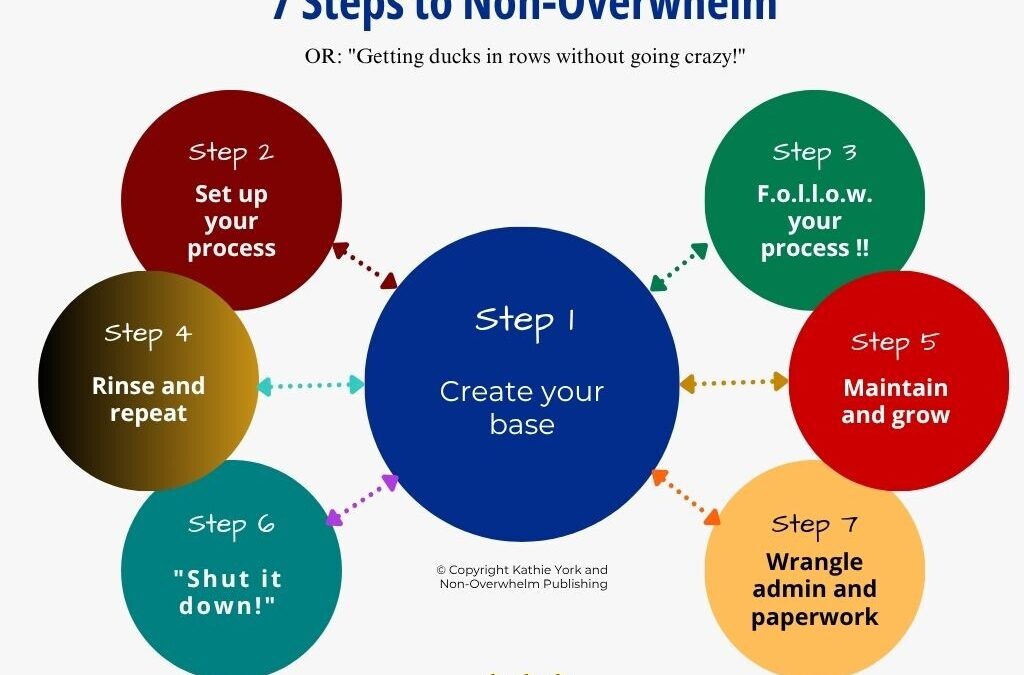 Subscriber Overview: 7 Steps to Non-Overwhelm